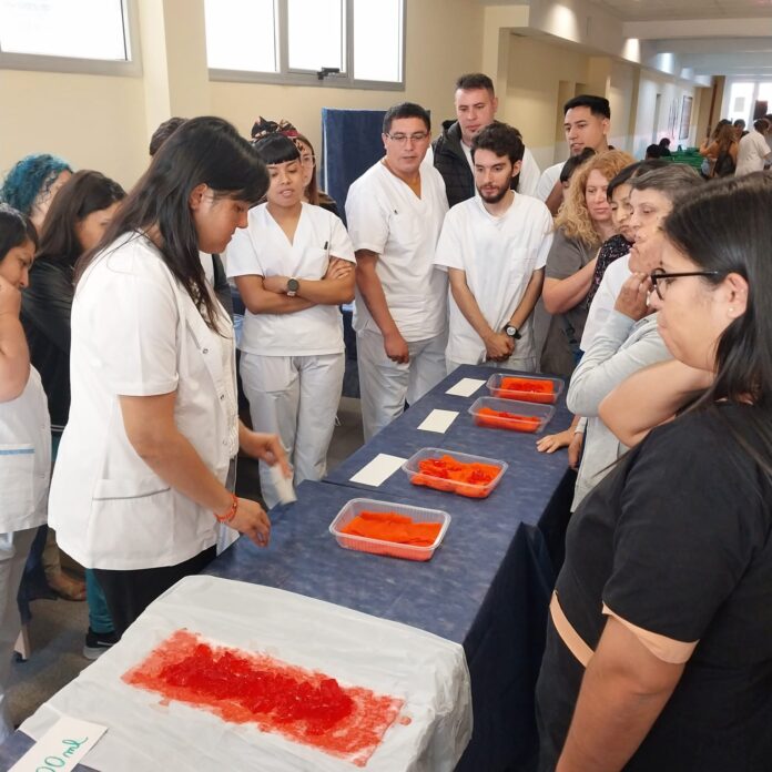 Taller para obstetras en padua 4